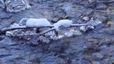 Ağır çekim. Kış. Suyun üzerinde buzla kaplı ağaç dalları asılı. dağ deresi