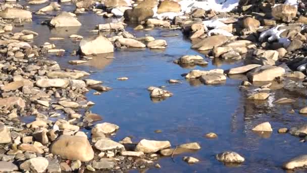 Ralenti Hiver Belle Rivière Montagne Coule Sur Les Pierres Printemps — Video