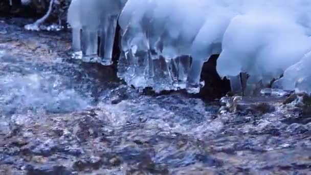 Zeitlupe Winter Mit Eis Bedeckte Äste Hängen Über Dem Wasser — Stockvideo