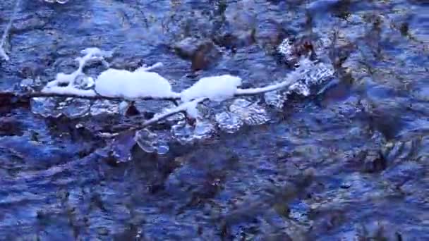 Ağır Çekim Kış Suyun Üzerinde Buzla Kaplı Ağaç Dalları Asılı — Stok video