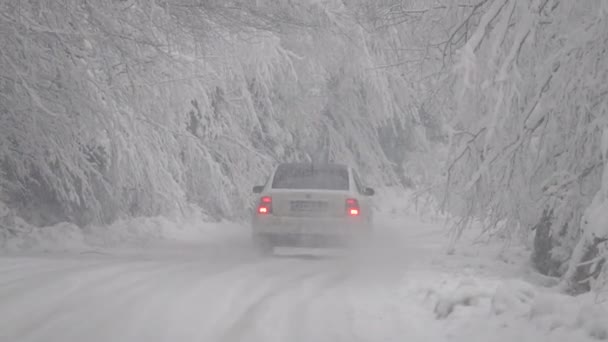 スローモーション 危険な道だ ブリザード 車は雪道を進んでいます — ストック動画