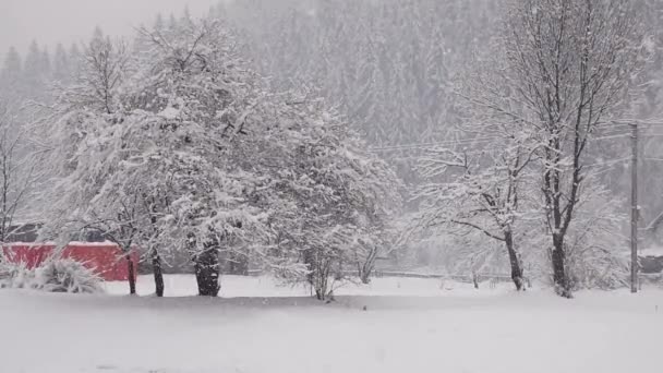 Langzame Beweging Mooie Winterboom Tegen Achtergrond Van Een Naaldbos Langzaam — Stockvideo