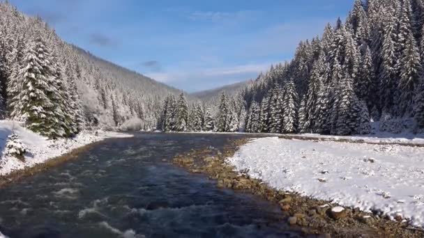 喀尔巴阡山脉的冬季风景 河流的水柱 国家自然公园 Synevyr 乌克兰语 圣诞节的树和高山的雪 美丽的蓝天 — 图库视频影像
