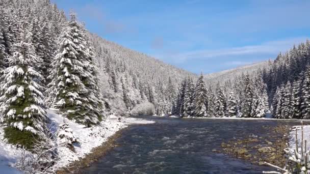 Slow Motion Vinterlandskap Morgondimma Över Floden Tereblya National Natural Park — Stockvideo