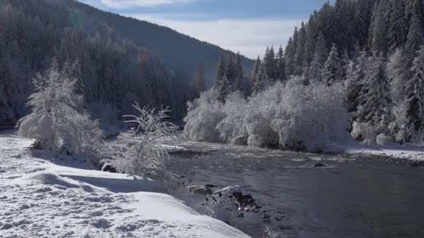 Slow Motion Vinterlandskap Karpaterna Floden Tereblya National Natural Park Synevyr — Stockvideo