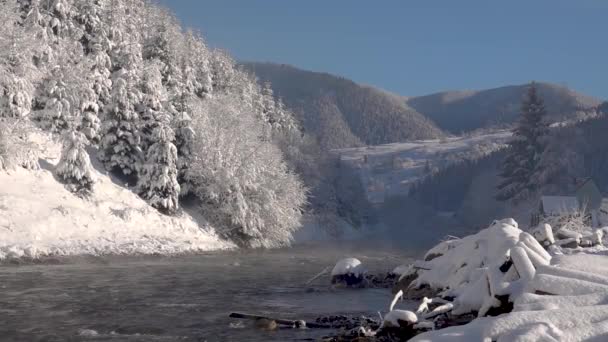 Zwolniony Ruch Zimowy Krajobraz Poranna Mgła Nad Rzeką Tereblya Narodowy — Wideo stockowe