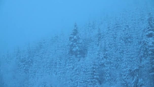 Cámara Lenta Paisaje Invierno Bosque Coníferas Las Montañas Nieve Que — Vídeo de stock