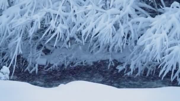 慢动作 冬季风景 暴风雪 高山溪流上的积雪丛林中 — 图库视频影像