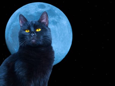 Ay 'ın arka planında yıldızlı kara kedi