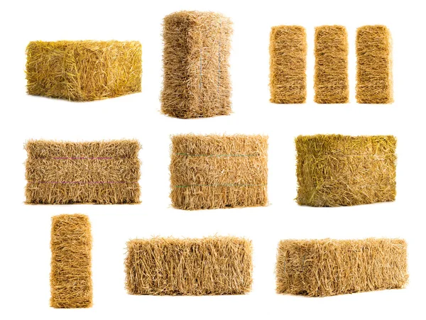 Collage Dry Haystack Isolated White Background — Photo