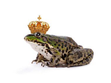 frog emperor isolated on white background