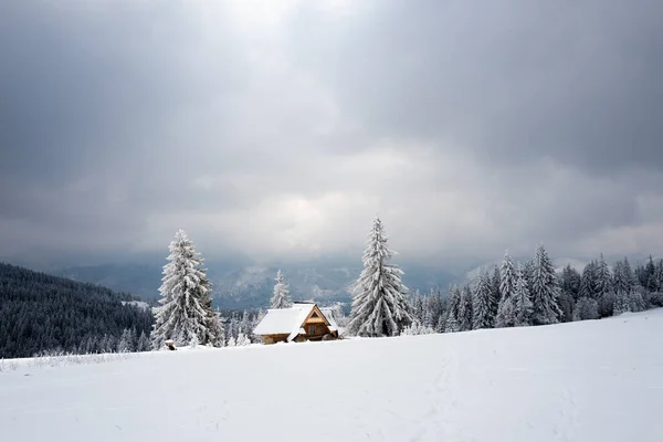 House Standing Top Mountain Backdrop Forest — Stockfoto