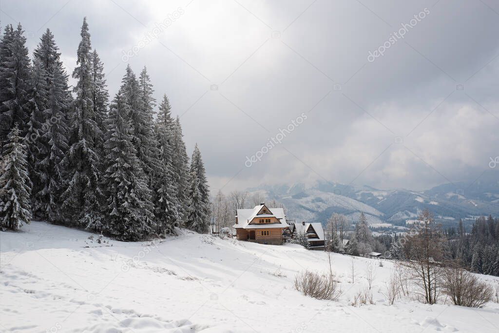 house standing on the outskirts of the forest against the backdrop of mountains