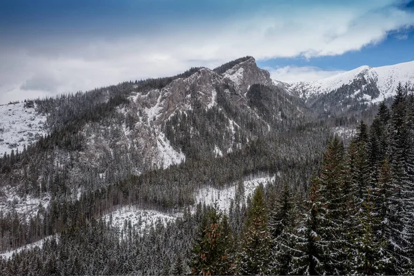 Peaks Tatra Mountains Tatrzanski Park Poland — Stock Photo, Image