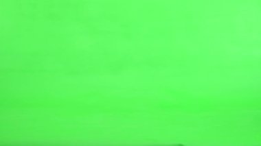 Siyah kedi yeşil ekranda belirir, hareket eder ve kaybolur.