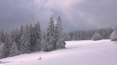 Romantik kış manzarası. Orman ve kardaki dağlar. Yavaşça hareket eden bulutlar