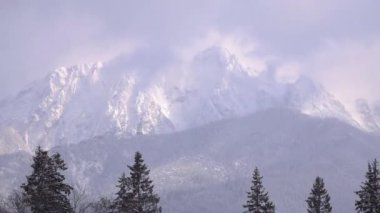 Ağır çekim. Karla kaplı dağlar ve köknar ağaçlarının arka planına yavaşça kar yağıyordu. tatra. Polonya