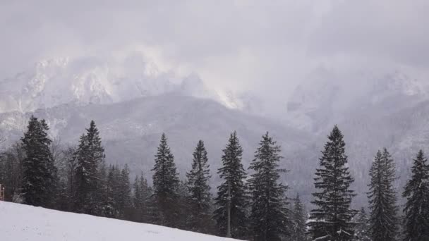 Cámara Lenta Nieve Que Cae Lentamente Sobre Fondo Abetos Montañas — Vídeo de stock