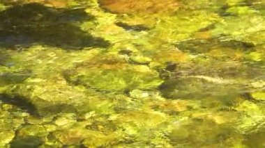 Ağır çekim. Berrak dağ nehri taşların üzerinden akıyor.