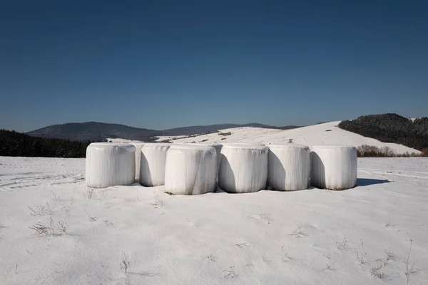 Heno Empacado Plástico Acostado Campo Contra Telón Fondo Las Montañas —  Fotos de Stock