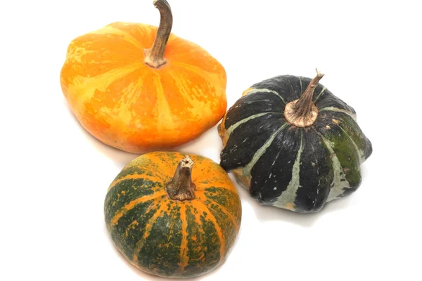 Three fancy pumpkins — Stock Photo, Image