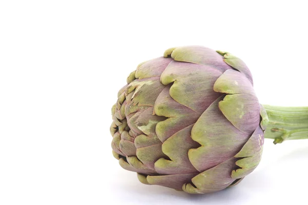 Artichoke — Stock Photo, Image