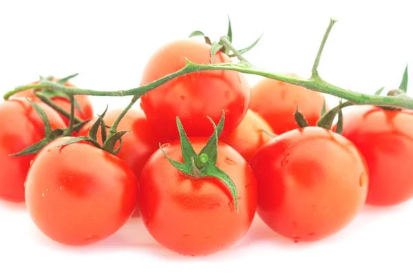 Tomatenkirsche — Stockfoto