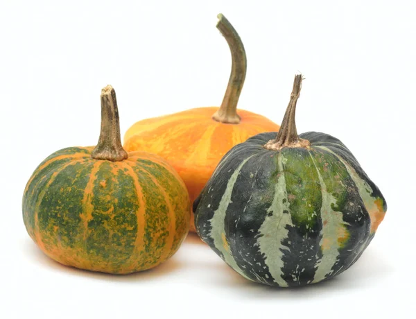 Three fancy pumpkins isolated over white — Stock Photo, Image