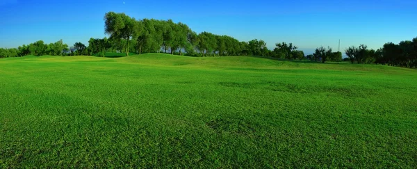 Golf-course with olive trees — Stock Photo, Image