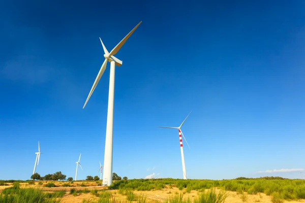 Turbine eolie in Calabria — Foto Stock