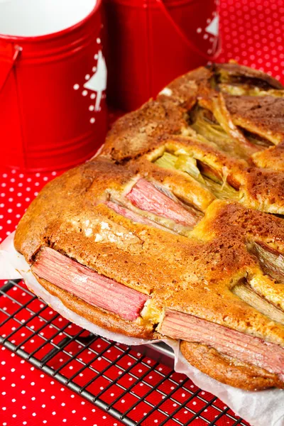 Torte di rabarbaro e crema pasticcera — Foto Stock