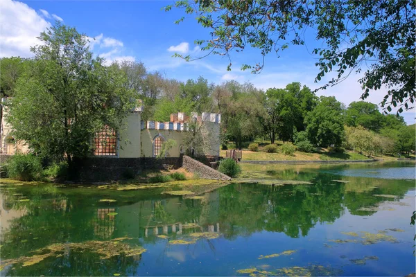 Fotografia Została Wykonana Ogrodzie Miejskim Odessy Ukrainie Nazwie Dyukovsky Garden — Zdjęcie stockowe