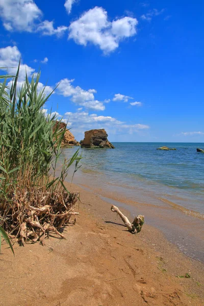 Das Foto Wurde Der Ukraine Der Nähe Der Stadt Odessa — Stockfoto