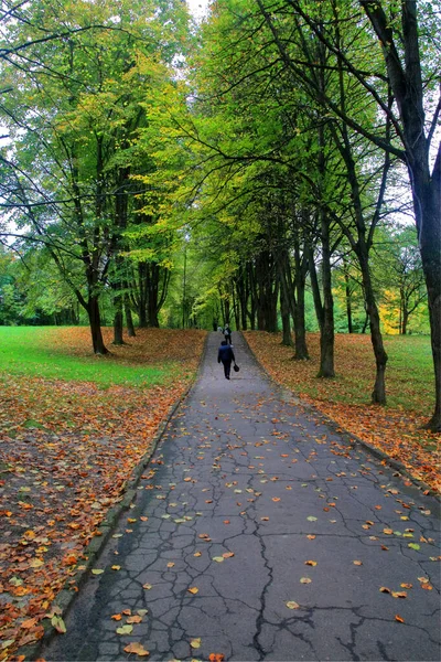 Zdjęcie Zostało Zrobione Parku Miejskim Miasta Truskawiec Ukrainie Zdjęciu Alejka — Zdjęcie stockowe
