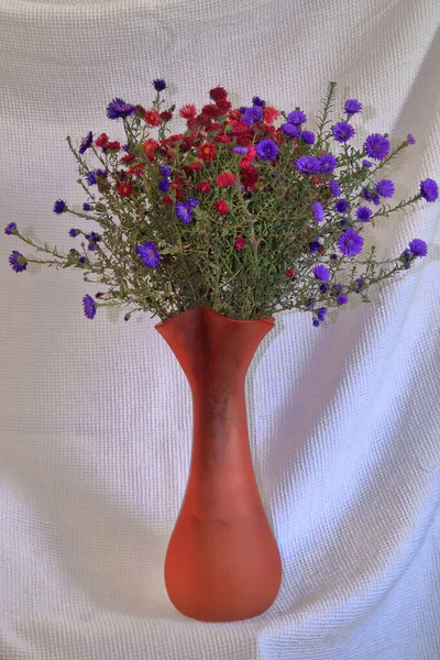 The photo shows a bouquet of red and blue flowers called asters in a red vase.