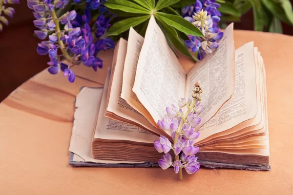 Altes Buch aufgeschlagen — Stockfoto