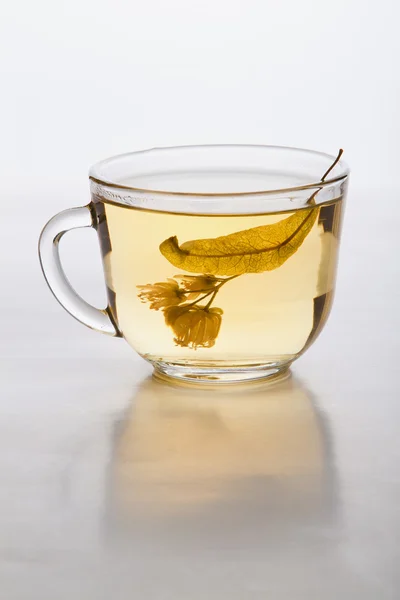 Cup of tea — Stock Photo, Image