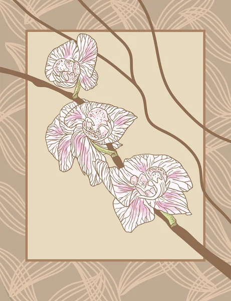 Rama estilizada de orquídeas — Vector de stock