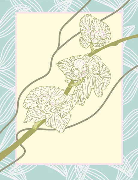 Branche d'orchidée stylisée — Image vectorielle