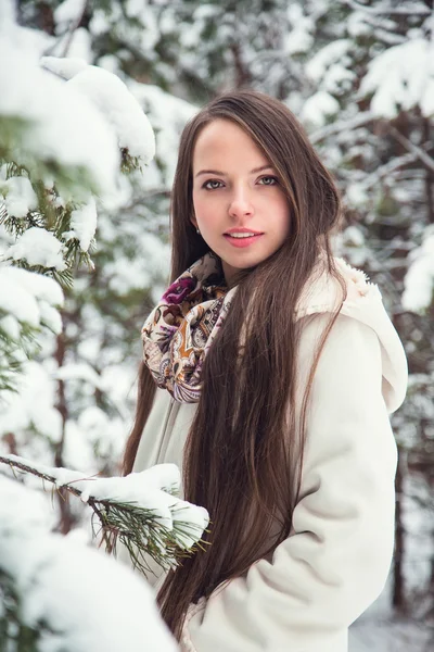 Winter portrait — Stock Photo, Image