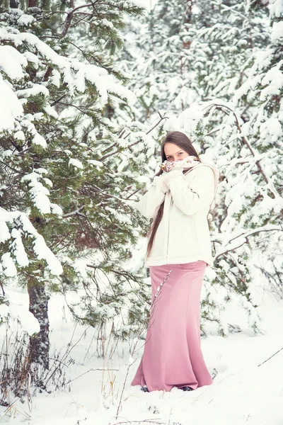 Retrato de inverno — Fotografia de Stock