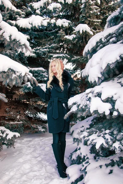 Mujer en invierno — Foto de Stock