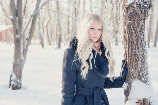 Vrouw in de winter — Stockfoto