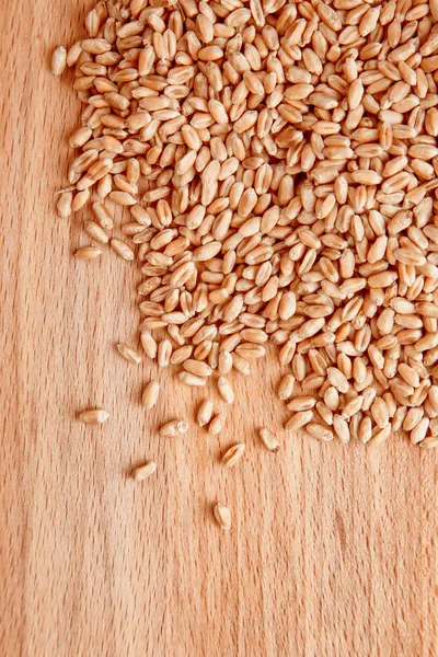 Grains of wheat — Stock Photo, Image