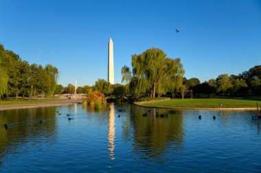 Washington Anıtı