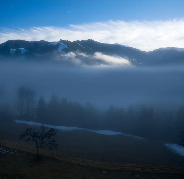 Nebliger Morgen — Stockfoto