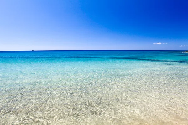 Tropisch strand — Stockfoto