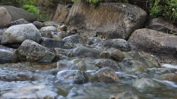 petite rivière