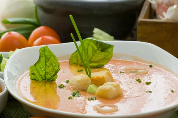 Kolde suppe - Stock-foto