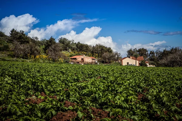 Rural house — Stock Photo, Image